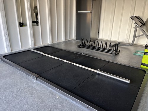 7ft 20kg rogue stainless - stainless, steel